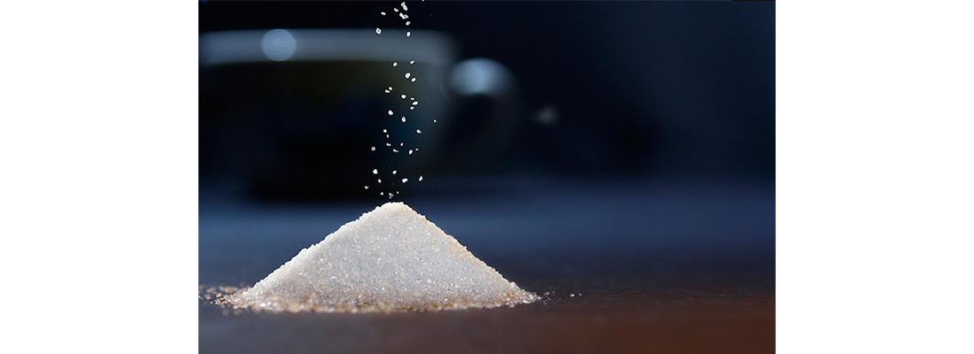 hosokawa-Procesamiento de Azúcar-3