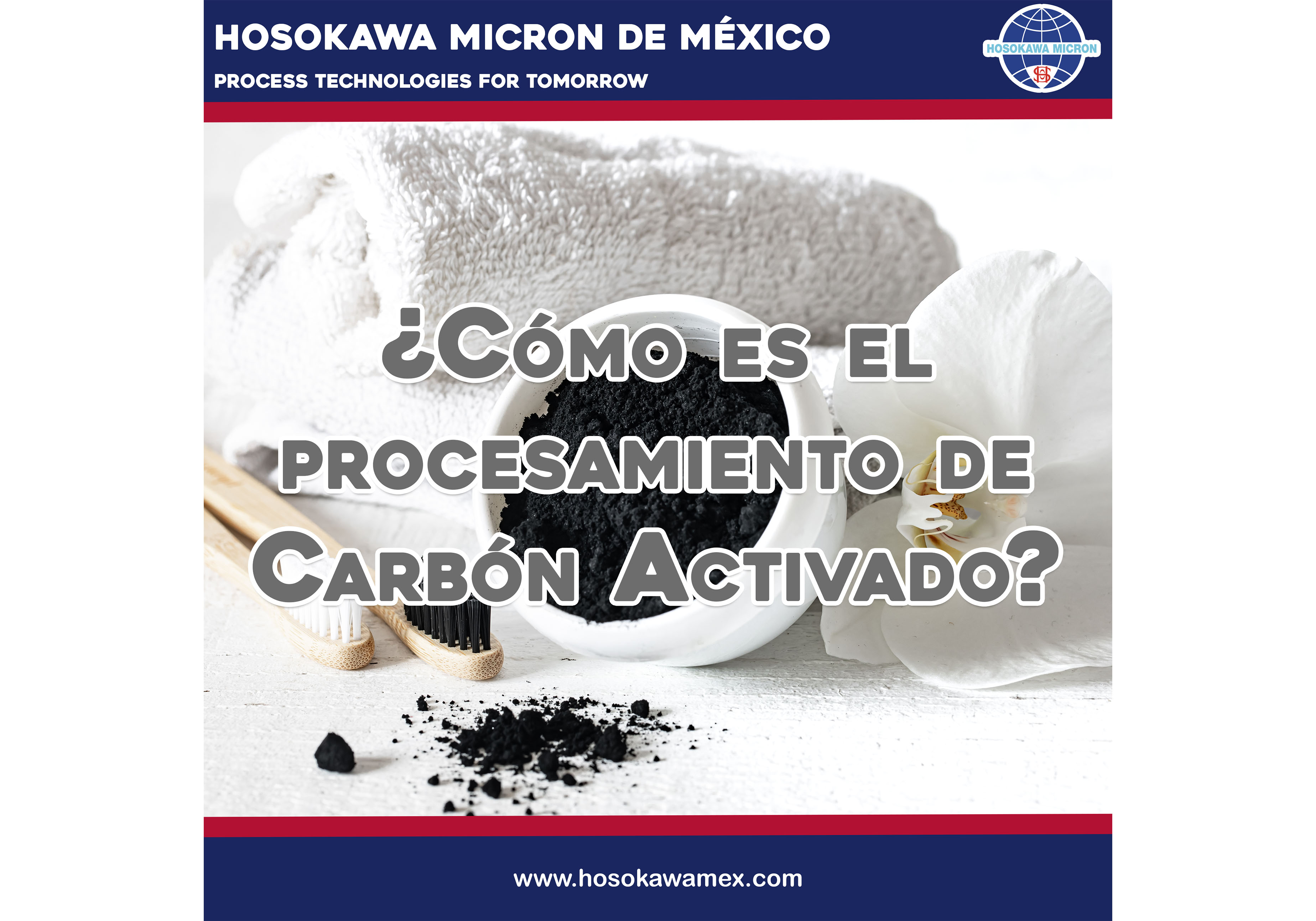 hosokawa_como-es-el-procesamiento-carbon-activado.jpg
