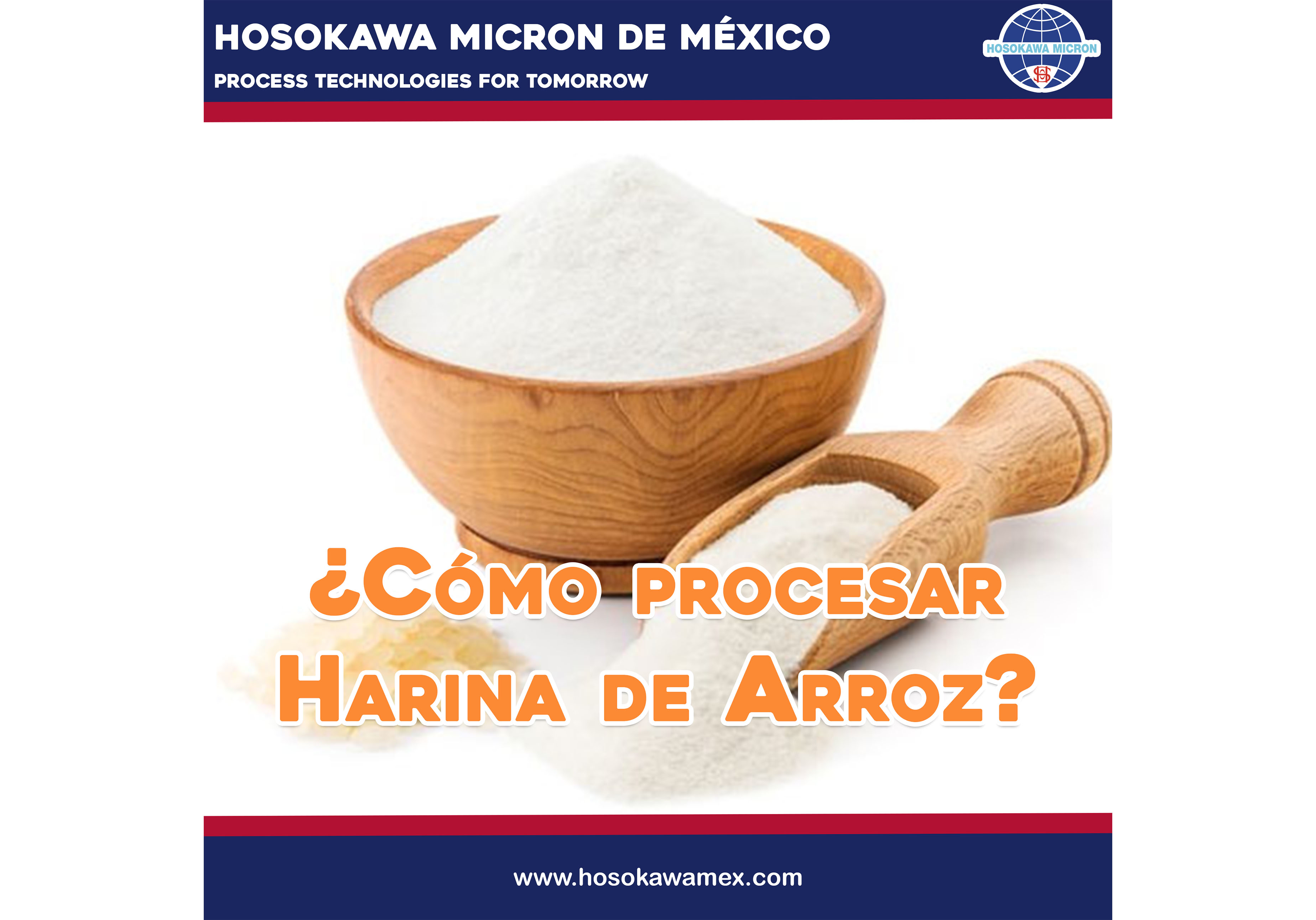 hosokawa_como-procesar-harina-de-arroz.webp