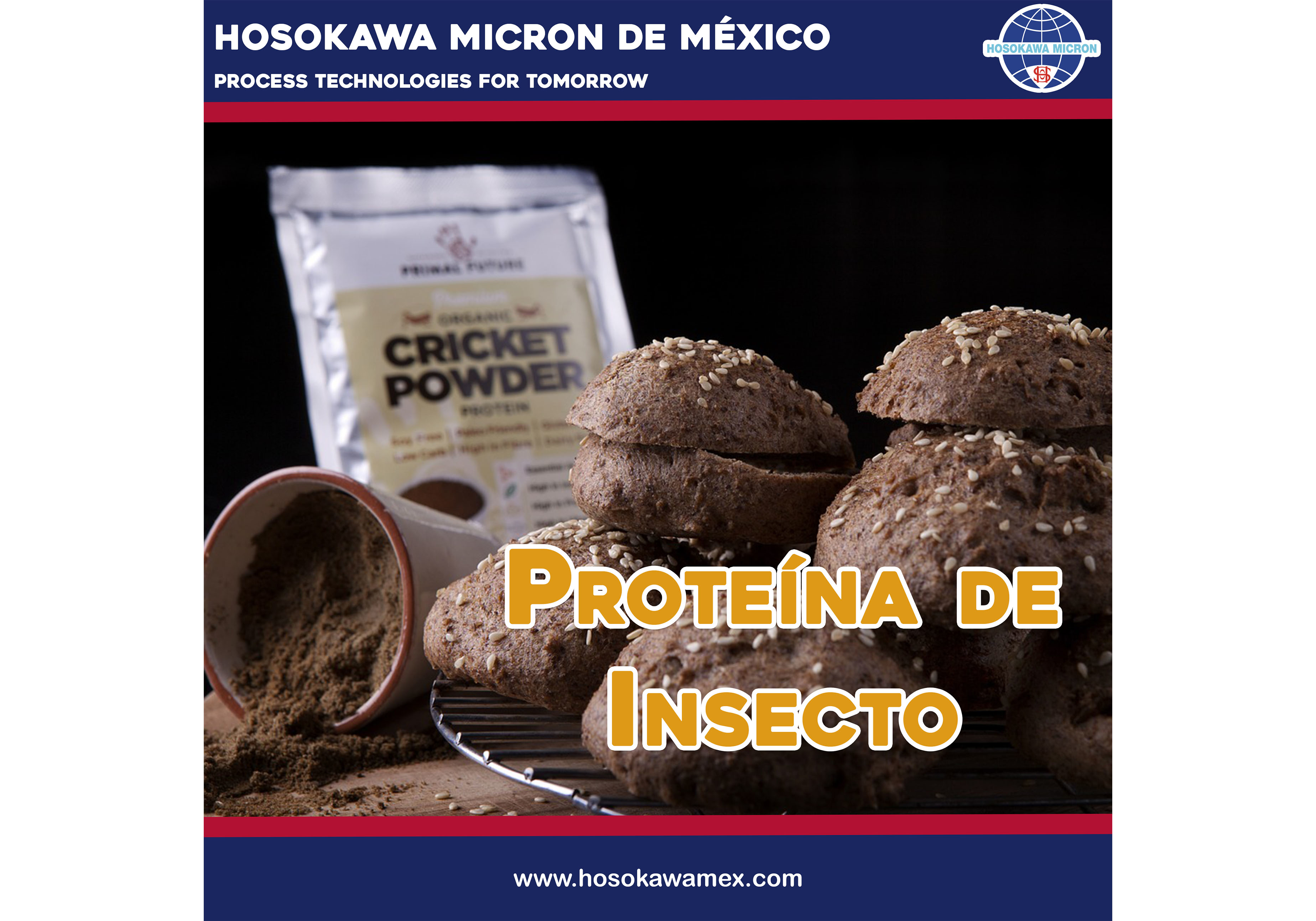hosokawa_como-procesar-la-proteina-extraida-de-los-insectos.webp