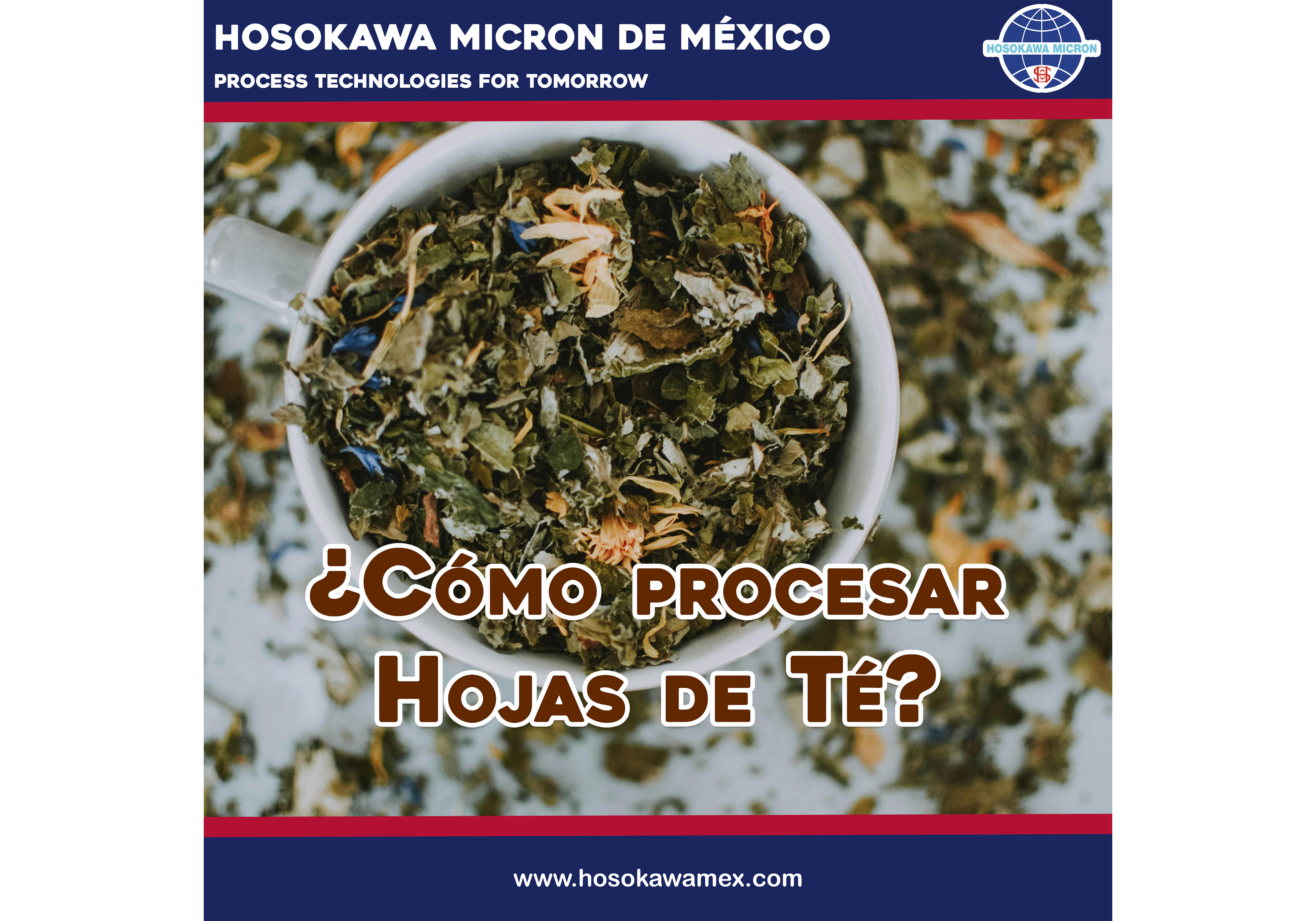 hosokawa_como-se-procesan-las-hojas-de-te.webp