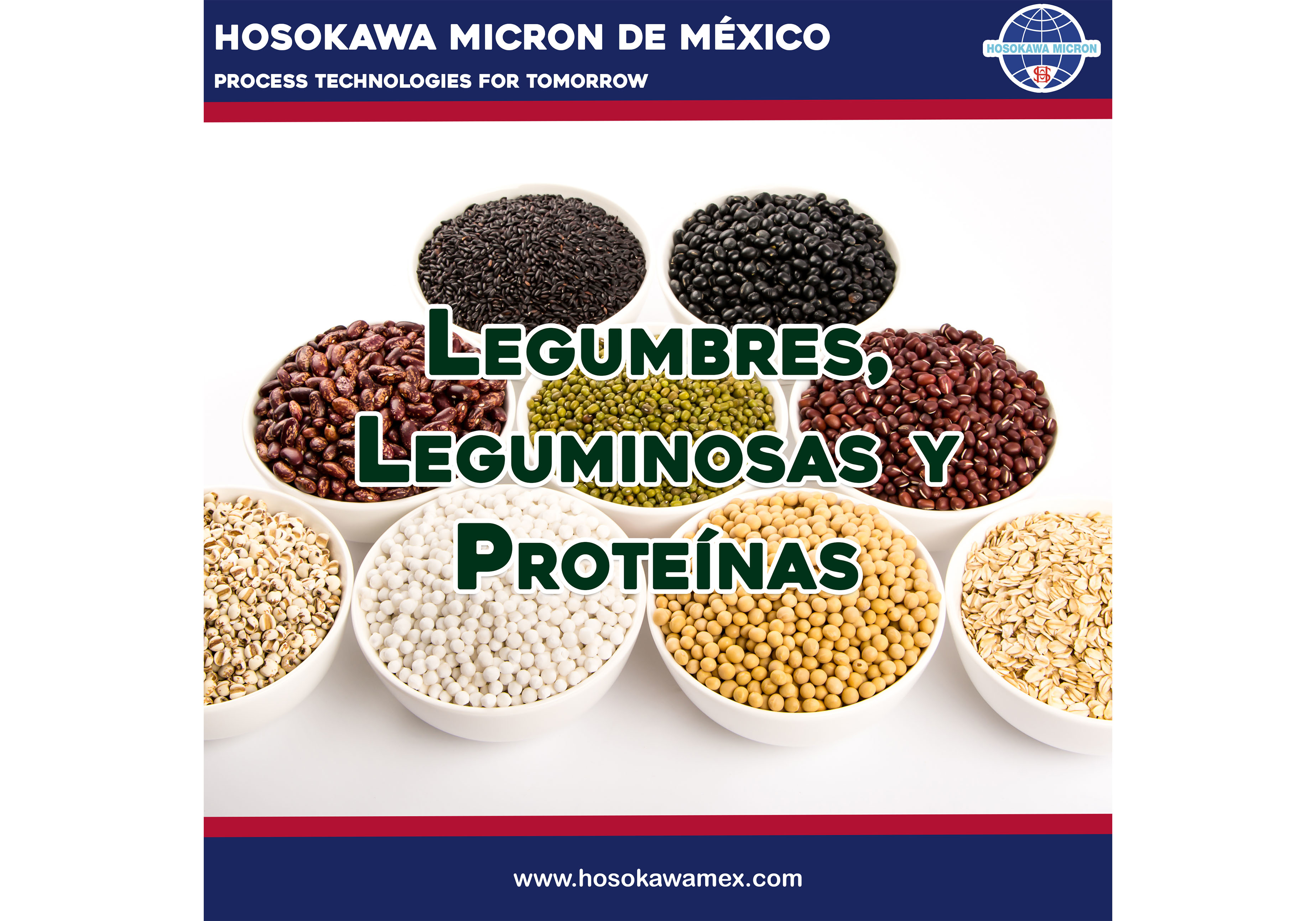 hosokawa_legumbres-leguminosas-y-proteinas.webp